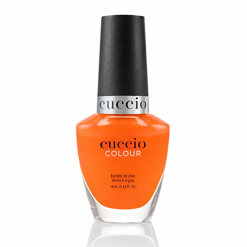 1319 Cuccio