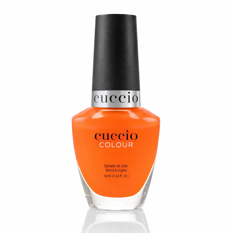 1319 Cuccio 1