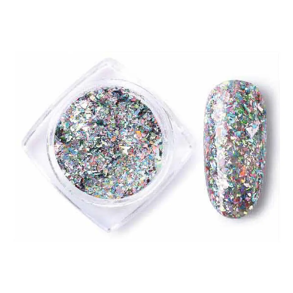 Sequins Powder Pailette  1
