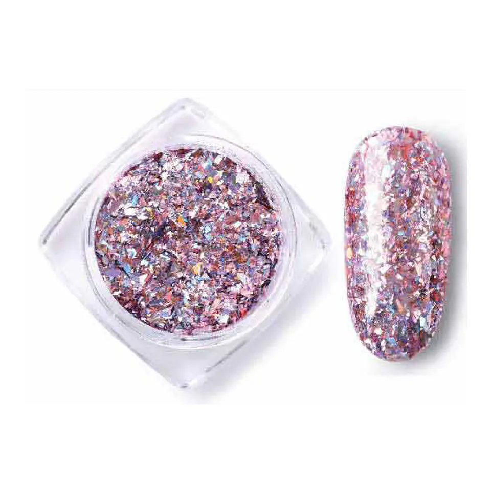 Sequins Powder Pailette  3