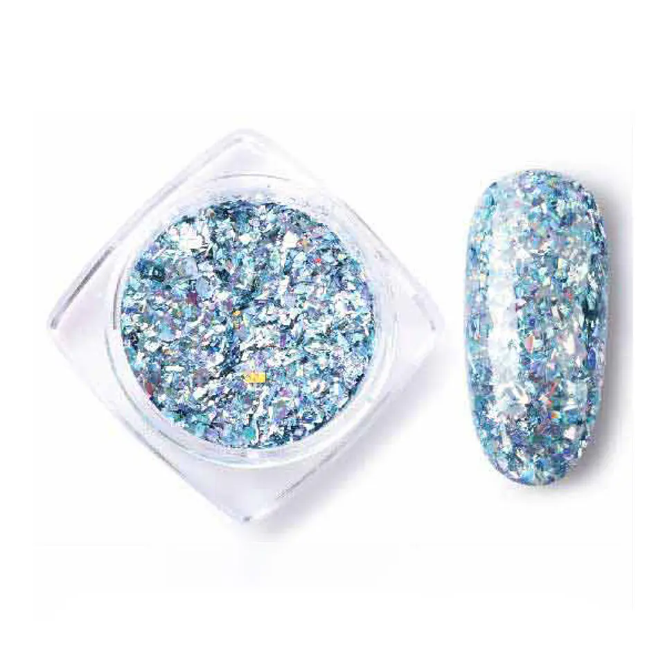 Sequins Powder Pailette  4