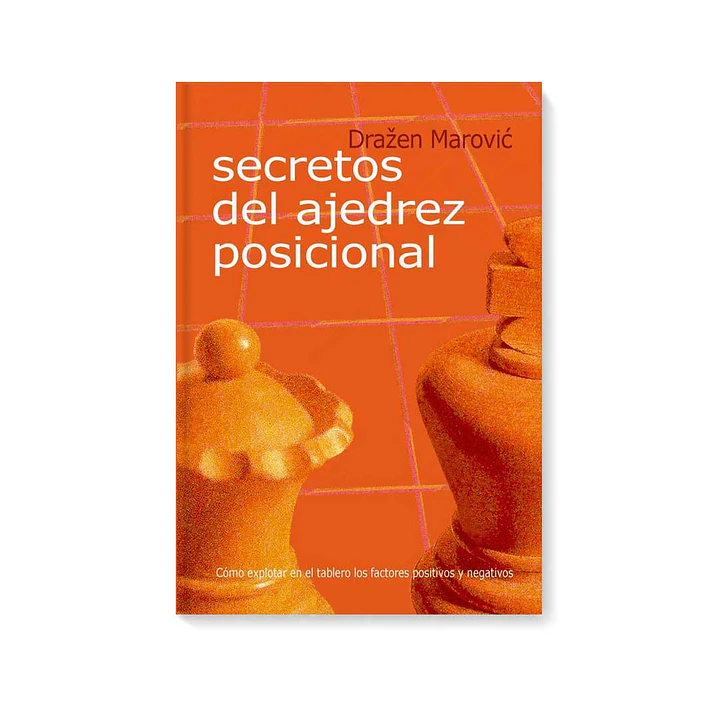 Secretos del ajedrez posicional 1