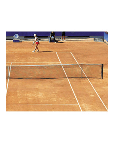 científico Preocupado Touhou Net para tenis profesional (malla)