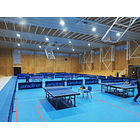Mesa de tenis de mesa Sponeta - comuna 1