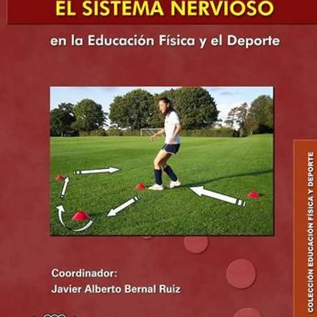 La Velocidad Y El Sistema Nervioso En La Educación Física Y El Deporte 1