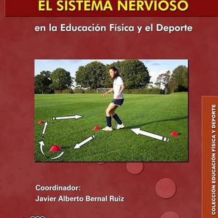 La Velocidad Y El Sistema Nervioso En La Educación Física Y El Deporte 1