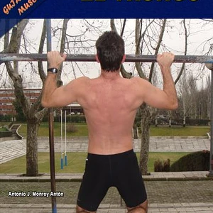 Guía Práctica De Musculación: El Tronco