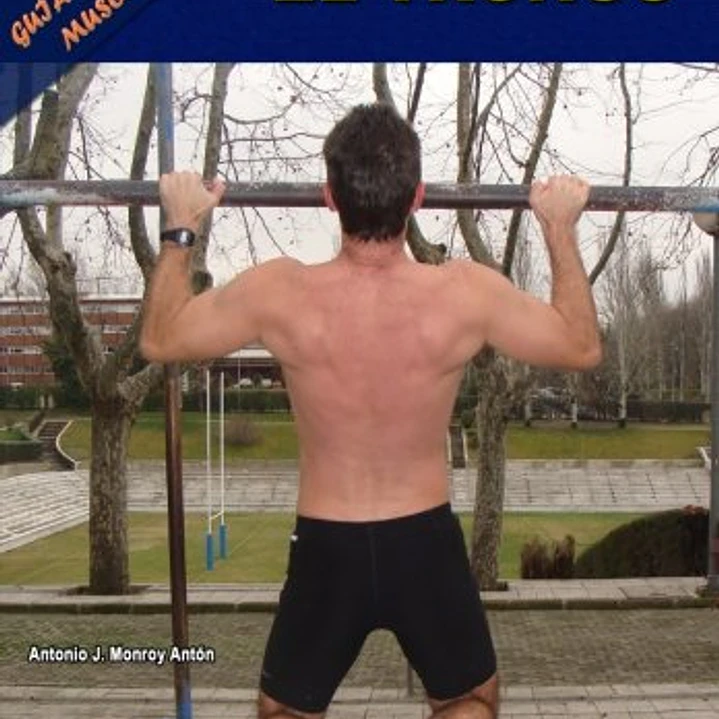 Guía Práctica De Musculación: El Tronco 1