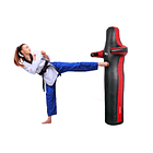 Dummy para judo y artes marciales 1