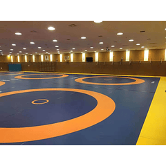 Área de Lucha Olimpica para entrenamiento  - dimensiones 6m x 6mx 6cm