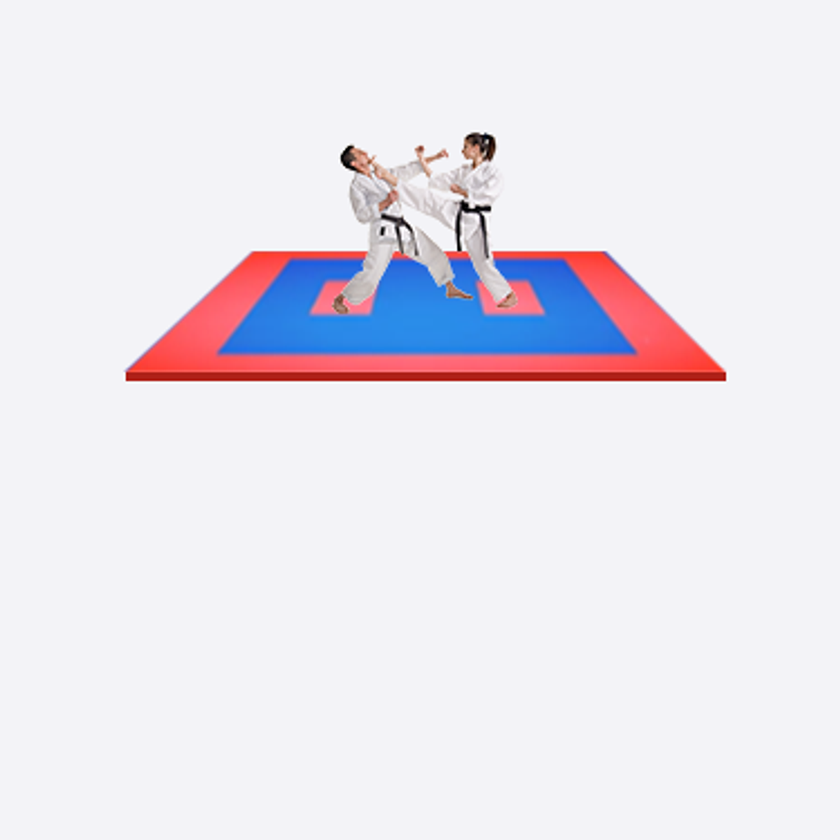 Tatamis de Karate certificados WKF