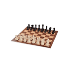 Tablero de ajedrez DGT y piezas (No Incluye reloj) 2