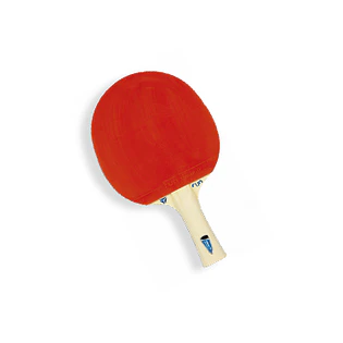Paletas de Tenis de Mesa