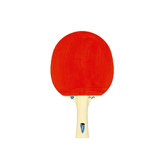 Paleta de tenis de mesa Tibhar Fun Samsonov - Recreativa