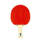 Paleta de tenis de mesa Tibhar Fun Samsonov - Recreativa - Miniatura 1