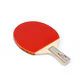 Paleta de Ping Pong  LAPICERO  marca Double Fish modelo 1A-E - Miniatura 1