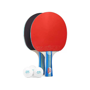 Set de ping pong marca Double Fish 236 A