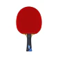 Paleta de tenis de mesa competición Tibhar Master Samsonov - Miniatura 1