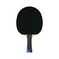 Paleta de tenis de mesa competición Tibhar Master Samsonov - Miniatura 2