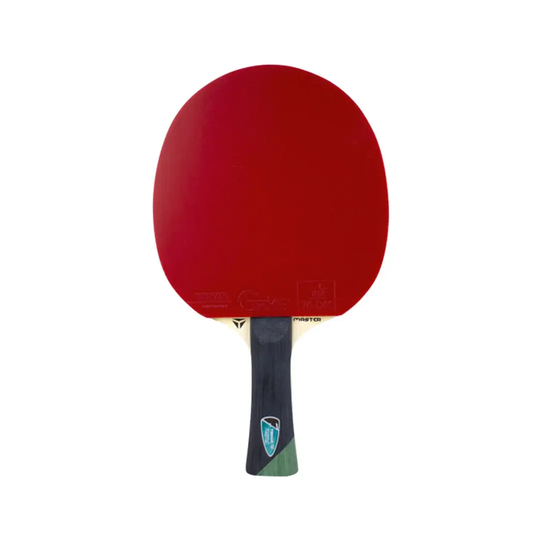 Paleta de tenis de mesa competición Tibhar Master Alexis Lebrun 1