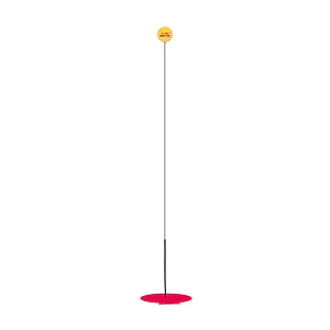 Set de entrenamiento de iniciación infantil de tenis de mesa XL01