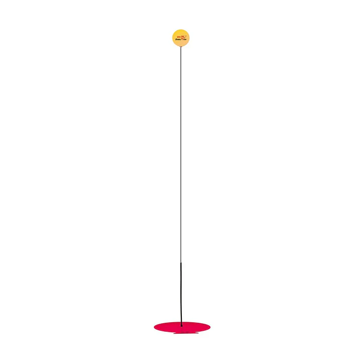 Set de entrenamiento de iniciación infantil de tenis de mesa XL01 1