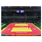 Tatami de judo aprobado IJF color amarillo - Miniatura 5