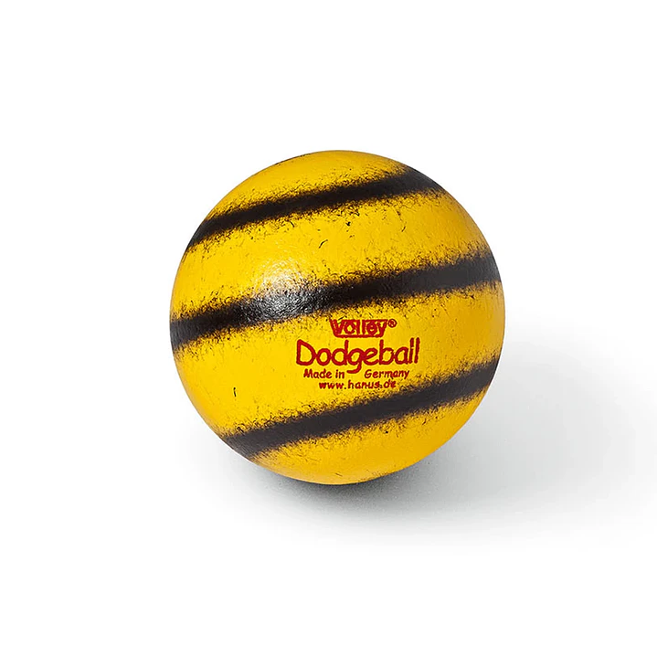 Pelota de foam Dodgeball 1