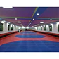 Área oficial de Taekwondo 12X12 m Octagonal Trocellen - Miniatura 1