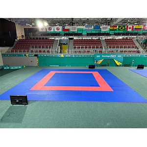 Área oficial de 12x12m de karate cuadrado aprobado WKF 