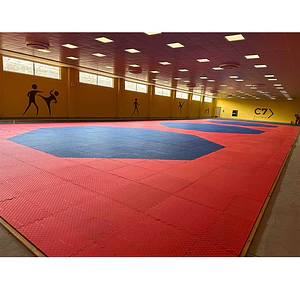 Área oficial de 12x12m de Tae Kwon Do octagonal aprobado WT 