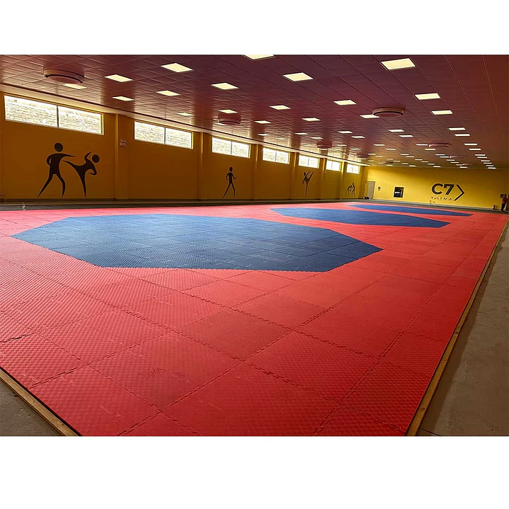 Área oficial de 12x12m de Tae Kwon Do octagonal aprobado WT  1