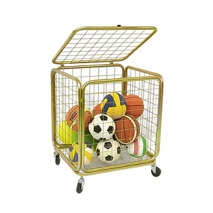 Carro transportador de balones