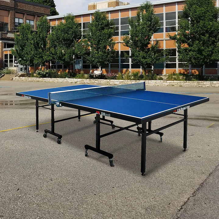 Mesa de Ping Pong (tenis de mesa) Double Fish 15mm (incluye malla) 6