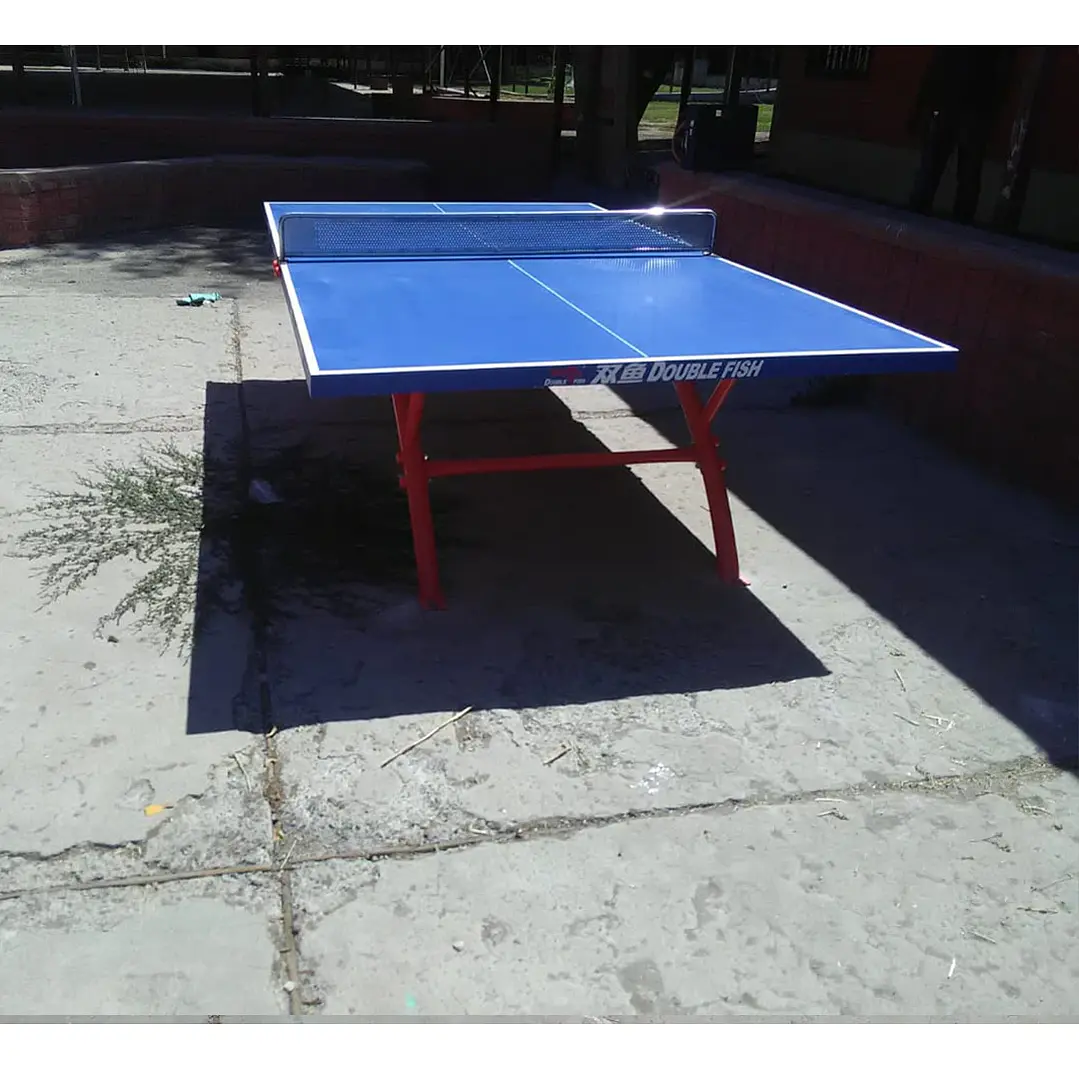 Mesa Tenis de Mesa Empotrada marca Double Fish modelo 318 (incluye malla) 4