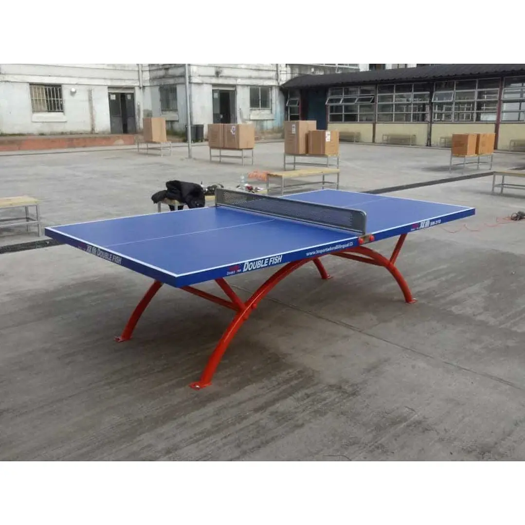 Mesa Tenis de Mesa Empotrada marca Double Fish modelo 318 (incluye malla) 5
