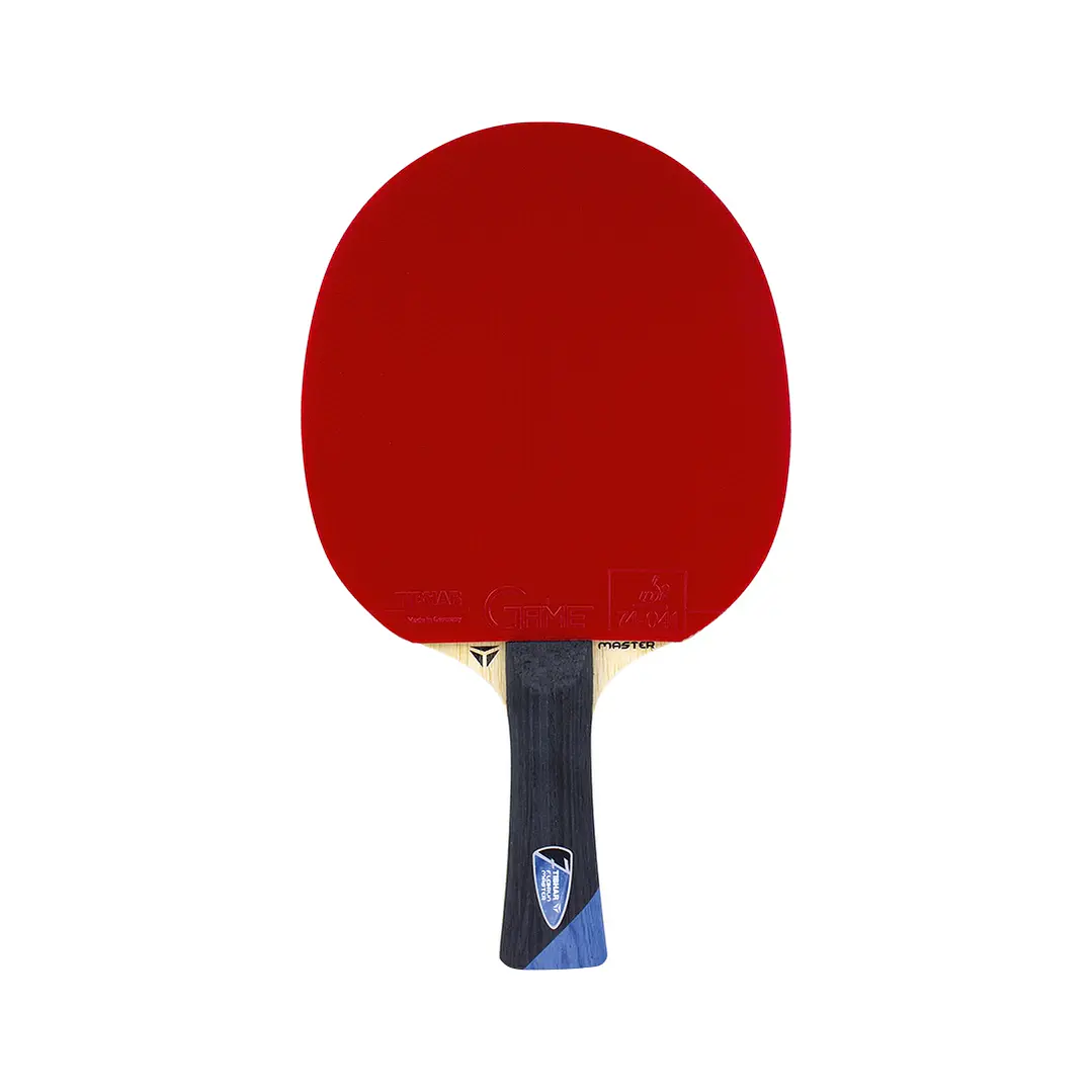 Paleta de tenis de mesa competición Tibhar Master Felix Lebrun 1