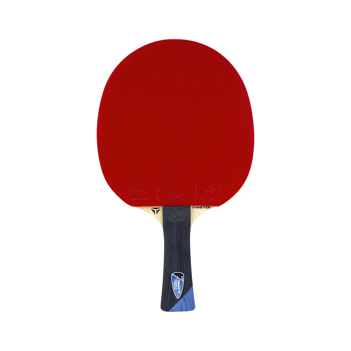 Paleta de tenis de mesa competición Tibhar Master Felix Lebrun 1