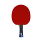 Paleta de tenis de mesa competición Tibhar Master Felix Lebrun - Miniatura 1