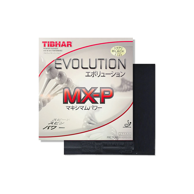 Set paleta de tenis de mesa Tania Zeng 4