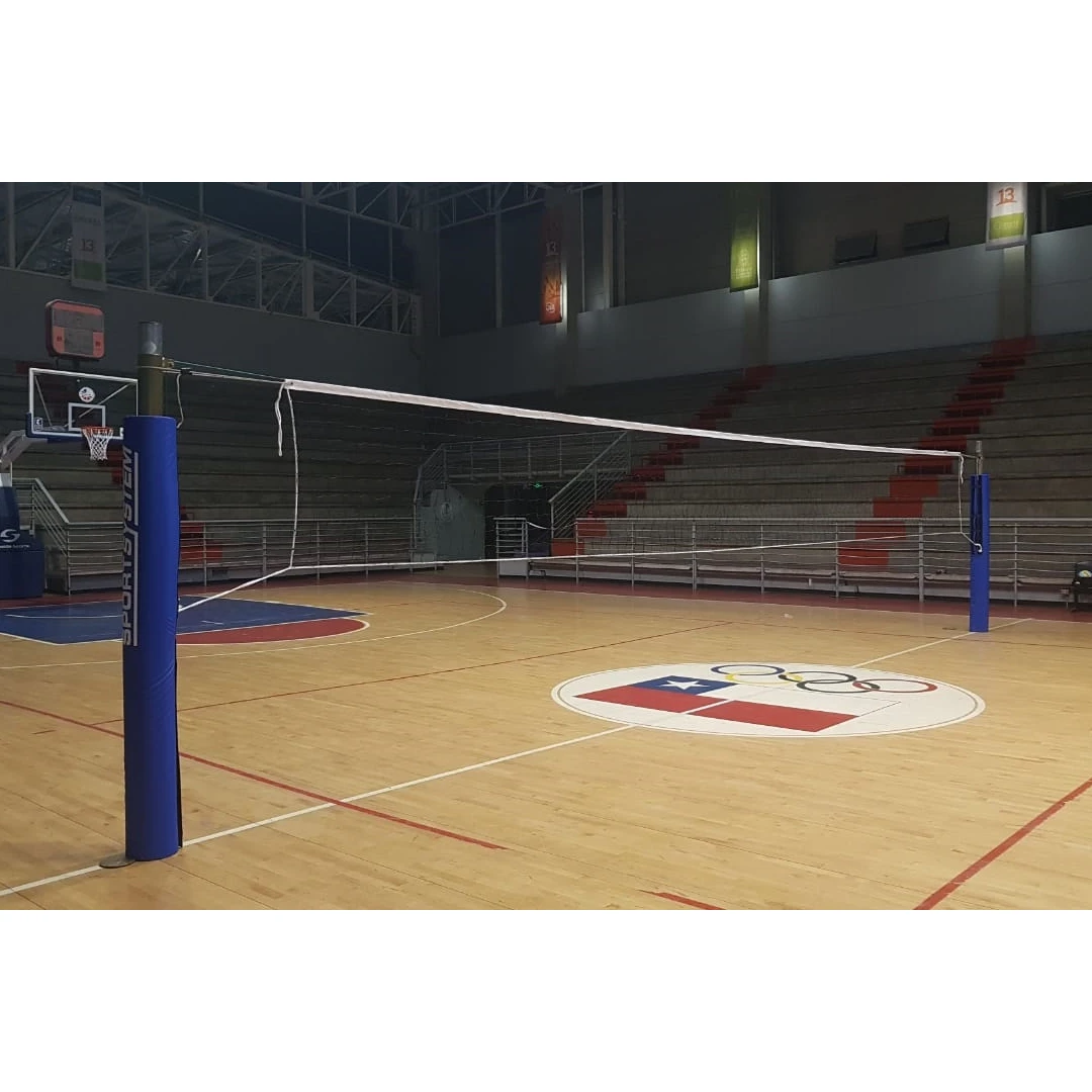 Postes de voleibol profesional
