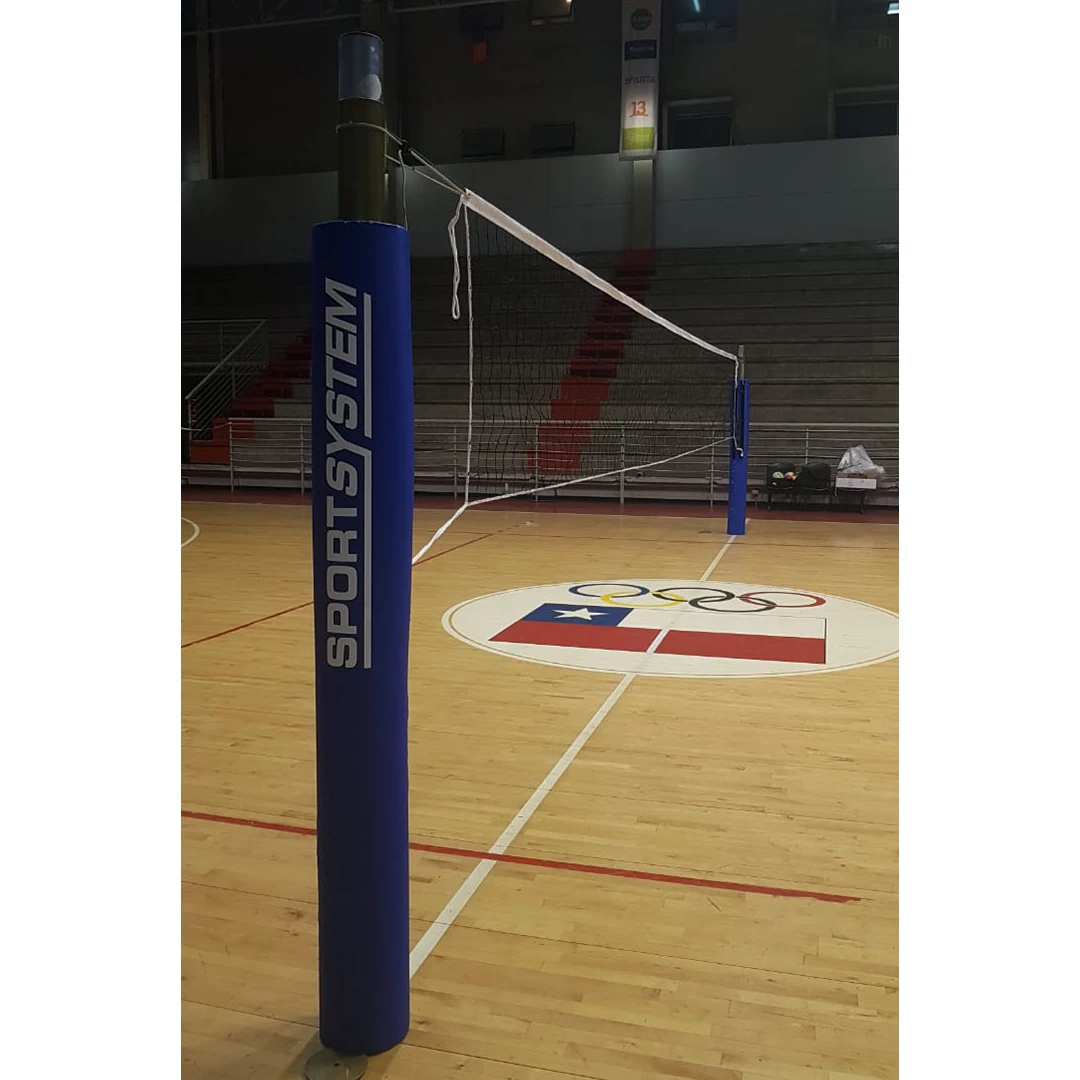 Postes de voleibol profesional