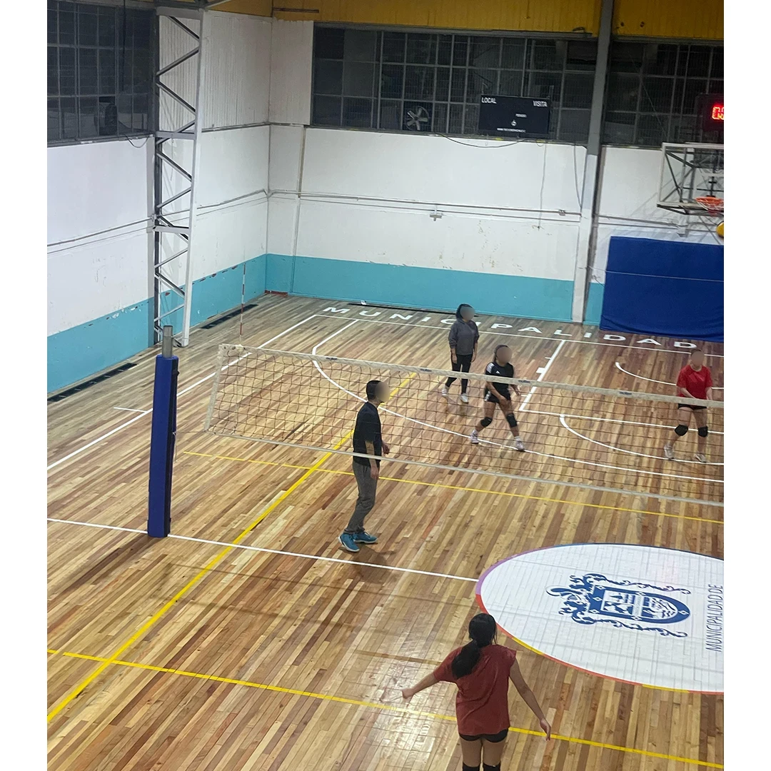 Postes de voleibol profesional