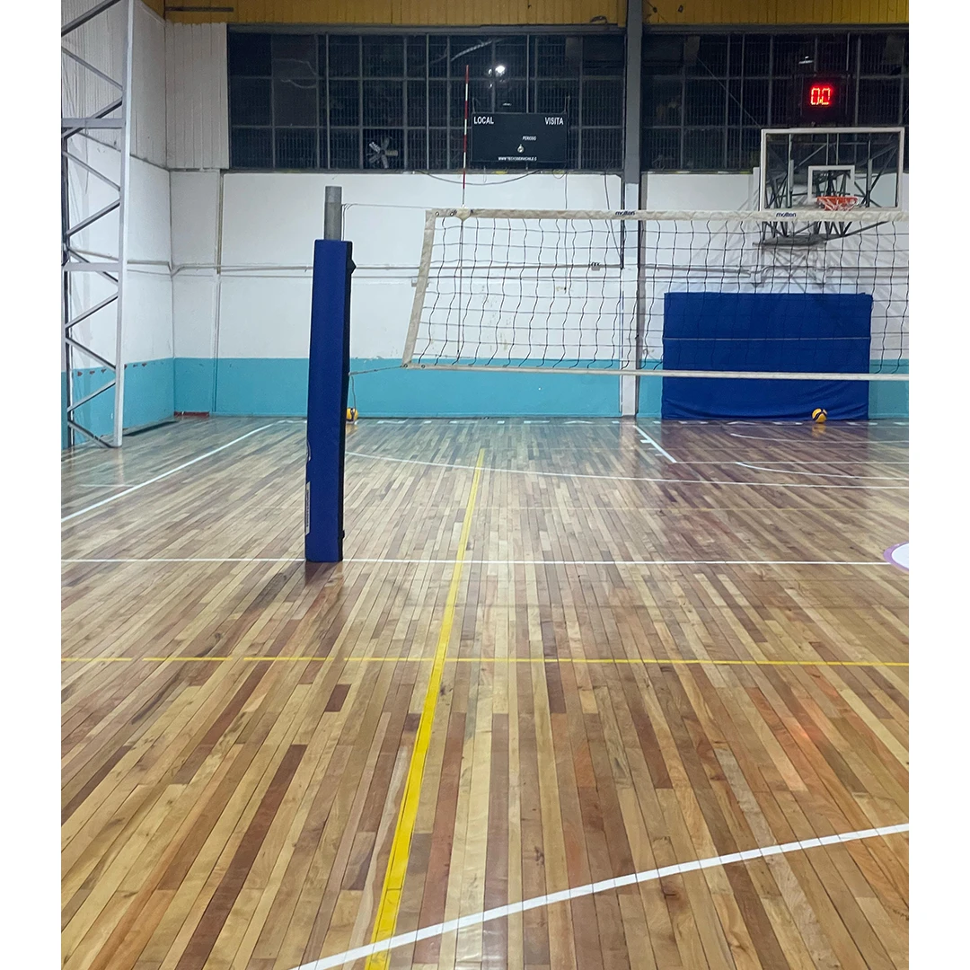 Postes de voleibol profesional