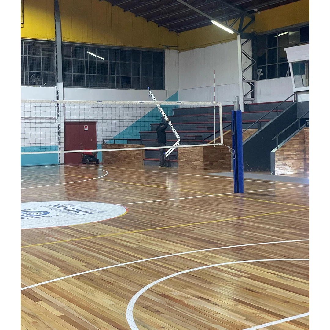 Postes de voleibol profesional