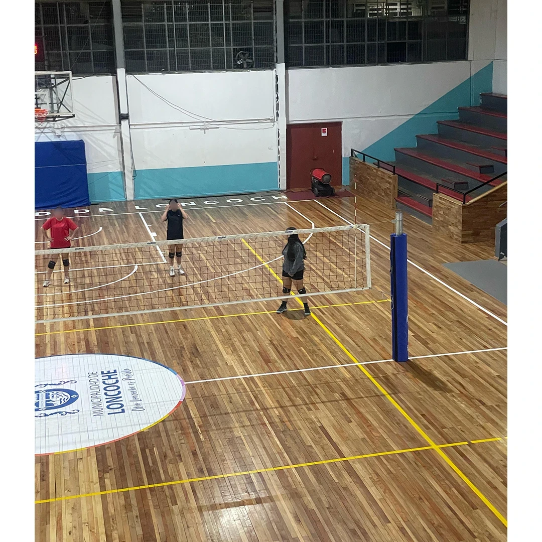 Postes de voleibol profesional