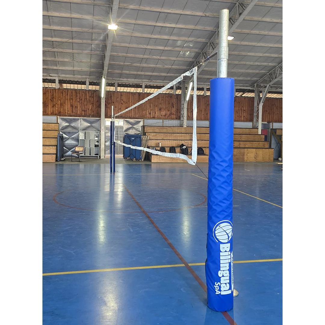 Postes de voleibol profesional