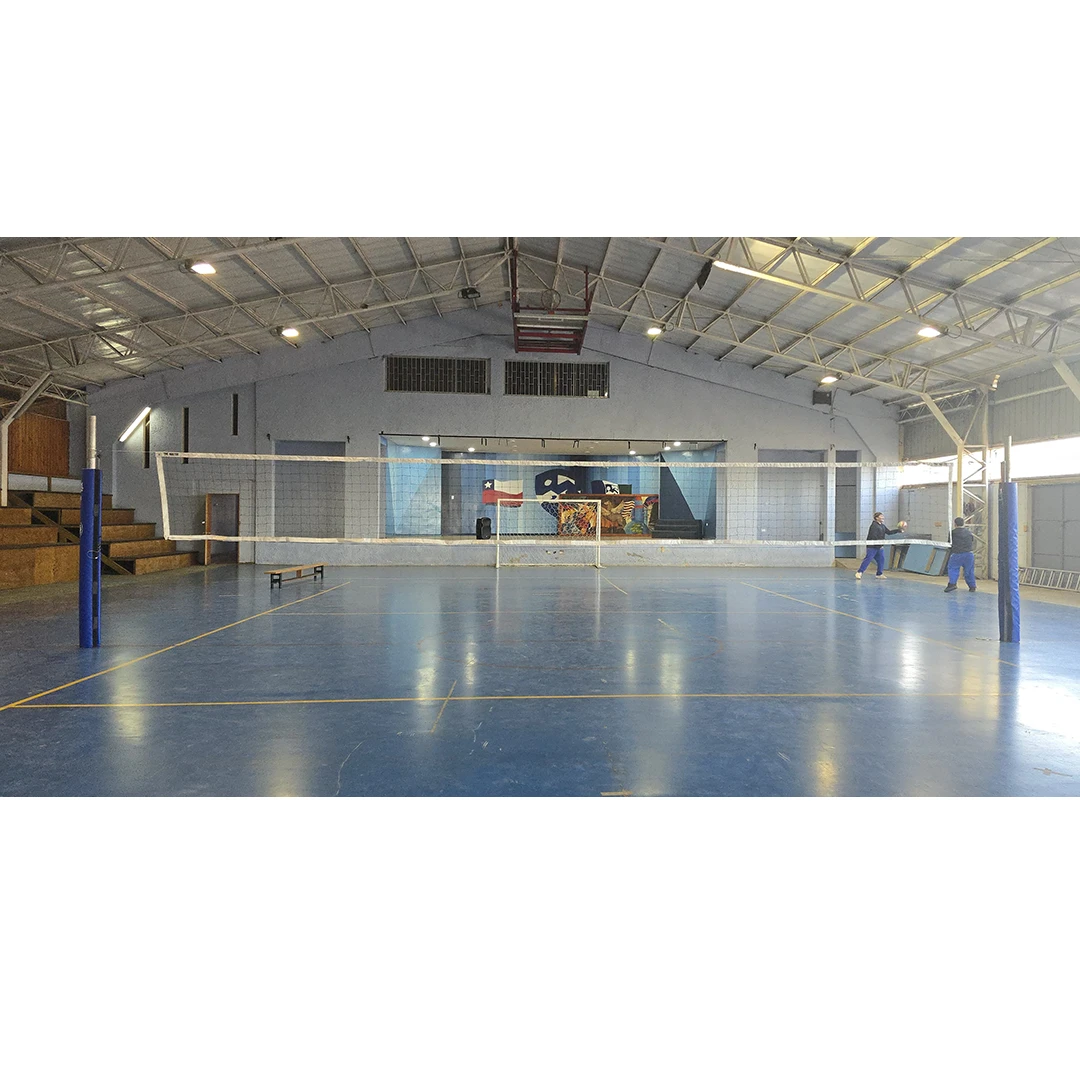 Postes de voleibol profesional
