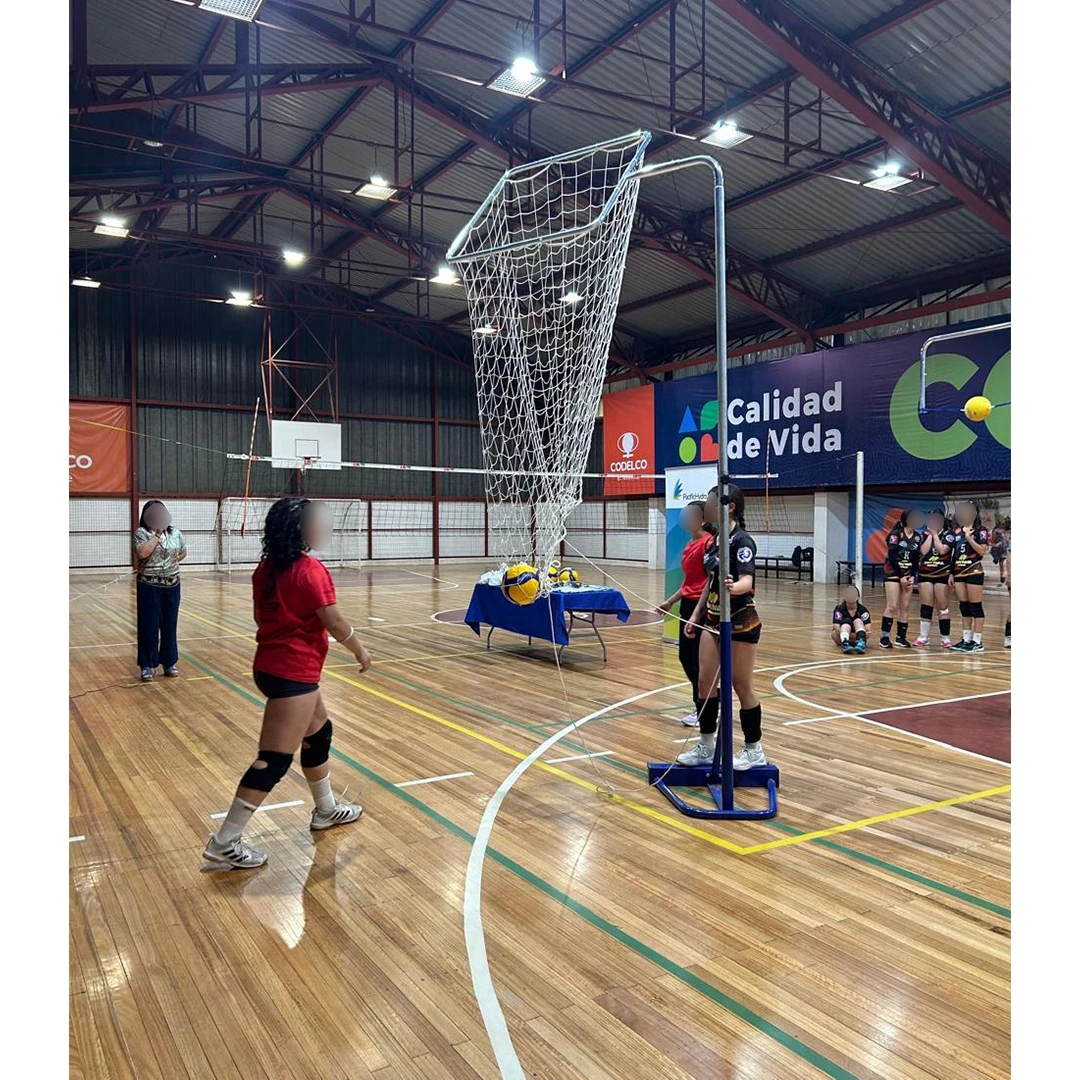 Receptor de voleibol