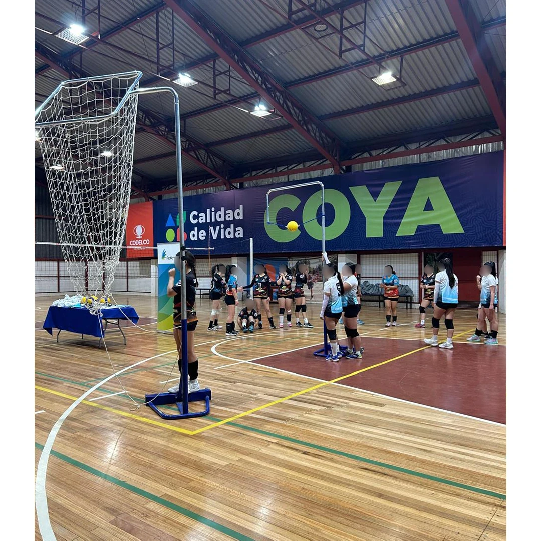 Receptor de voleibol